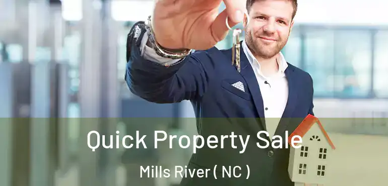  Quick Property Sale Mills River ( NC )