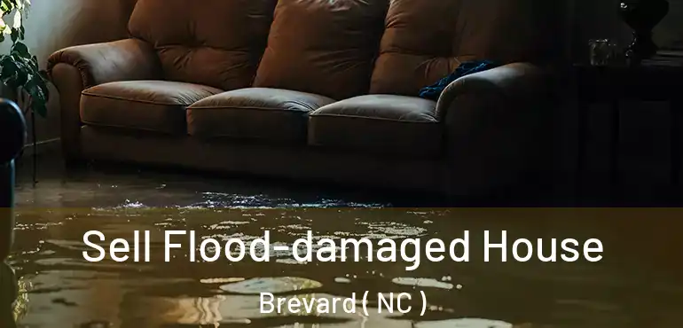  Sell Flood-damaged House Brevard ( NC )