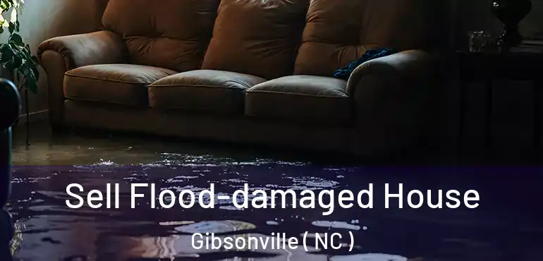  Sell Flood-damaged House Gibsonville ( NC )