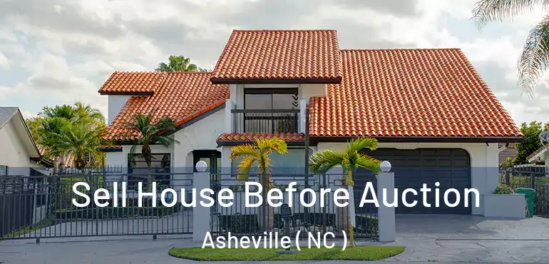  Sell House Before Auction Asheville ( NC )