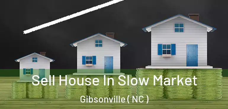  Sell House In Slow Market Gibsonville ( NC )
