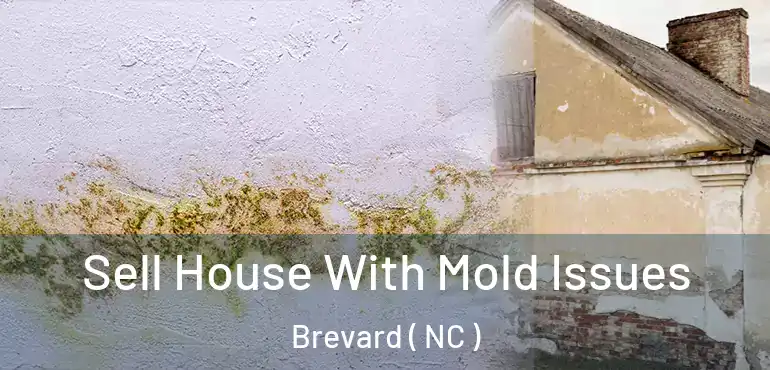  Sell House With Mold Issues Brevard ( NC )