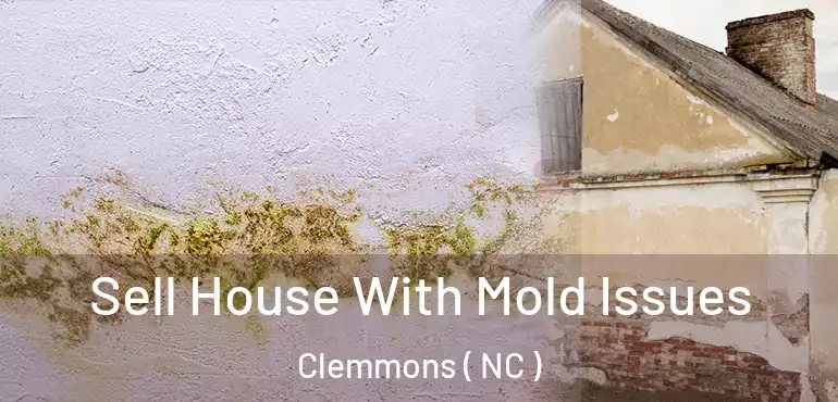  Sell House With Mold Issues Clemmons ( NC )