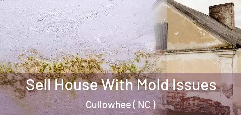  Sell House With Mold Issues Cullowhee ( NC )
