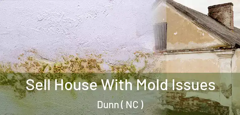  Sell House With Mold Issues Dunn ( NC )
