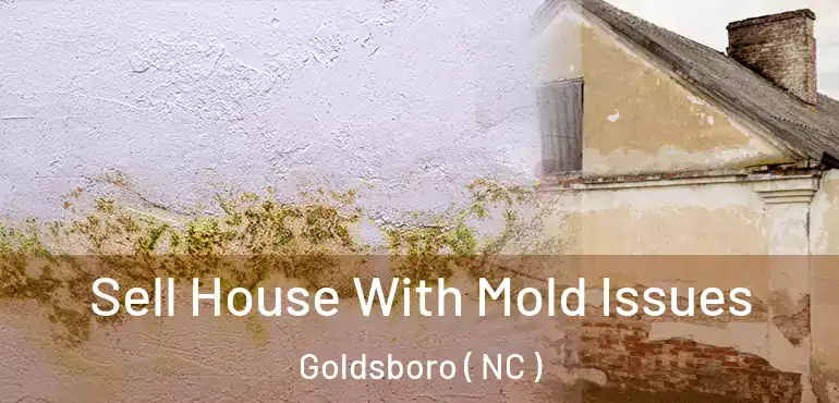  Sell House With Mold Issues Goldsboro ( NC )