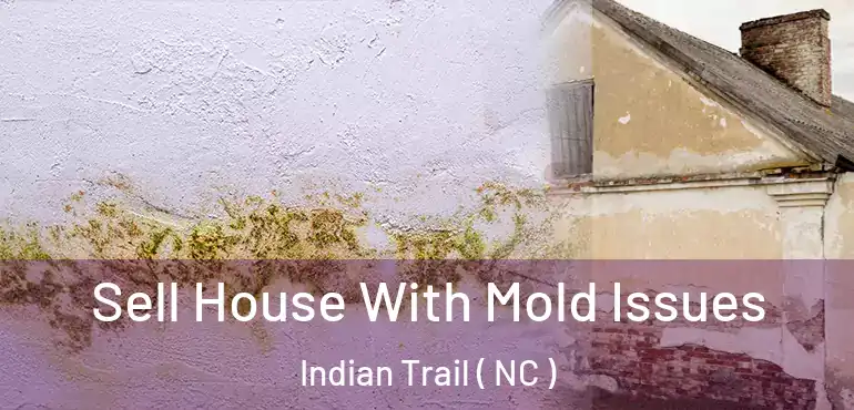  Sell House With Mold Issues Indian Trail ( NC )