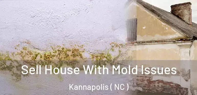  Sell House With Mold Issues Kannapolis ( NC )