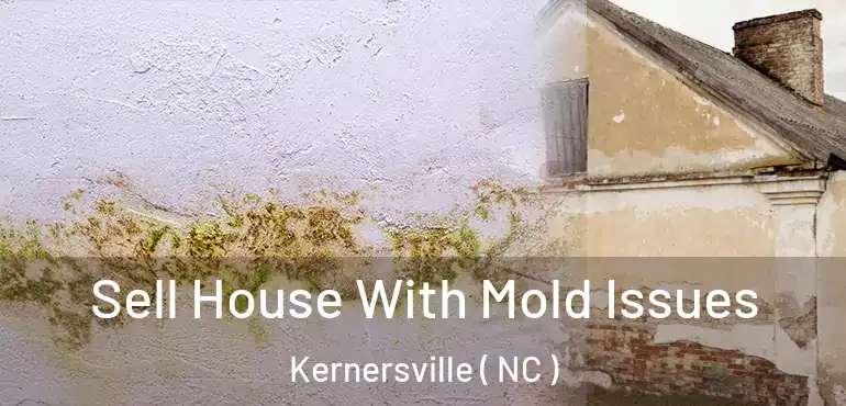  Sell House With Mold Issues Kernersville ( NC )