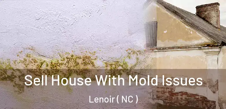  Sell House With Mold Issues Lenoir ( NC )