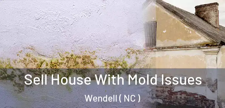  Sell House With Mold Issues Wendell ( NC )